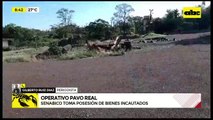 Operativo Pavo Real: Senabico toma posesión de bienes incautados