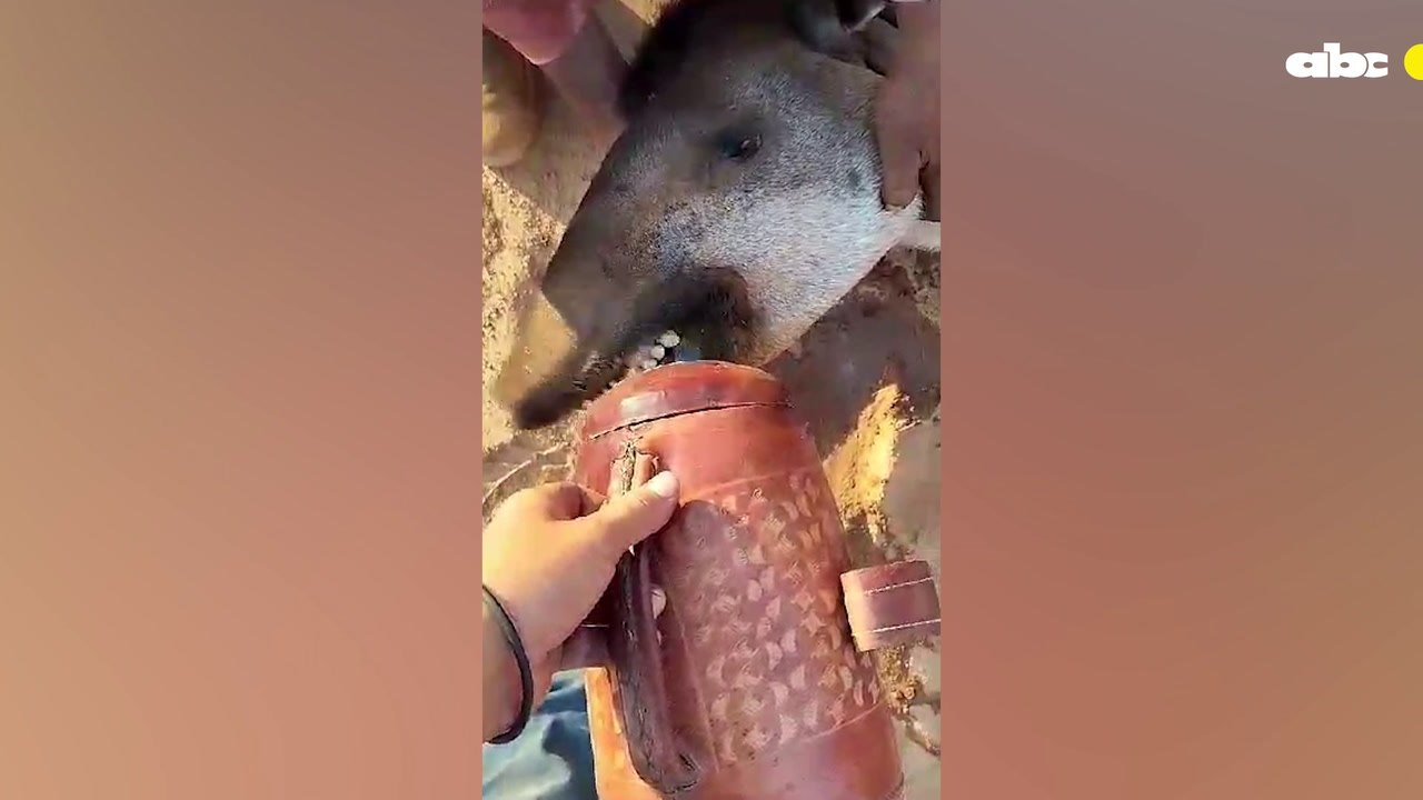 Mortal Sequía