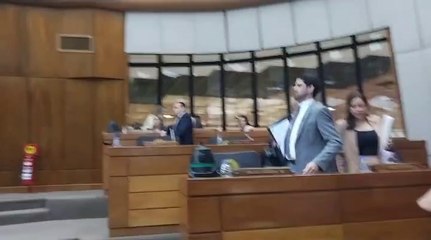 Honor Colorado deja sin quorum sesión en Diputados