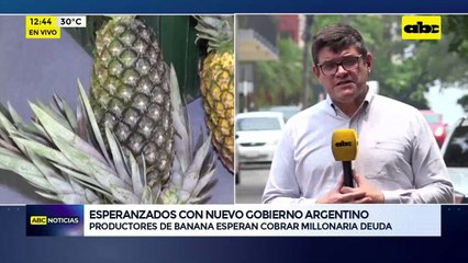 Esperanzados con nuevo gobierno argentino: productores de banana esperan cobrar millonaria deuda