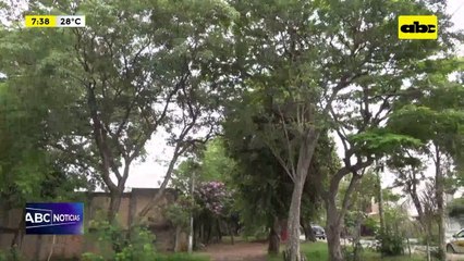 Video:  Vecinos denuncian abandono de plaza