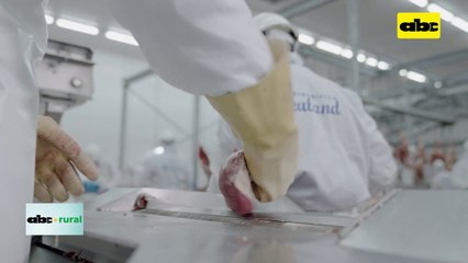 Eeuu Abrió Sus Puertas A La Carne Paraguaya