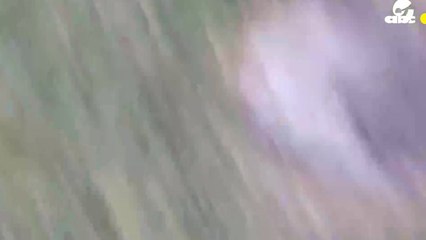 Murió un empresario y expiloto luego de que cayera el helicóptero que pilotaba