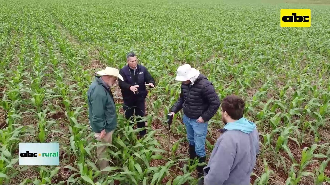 Video: comparación entre un suelo de bosque nat...