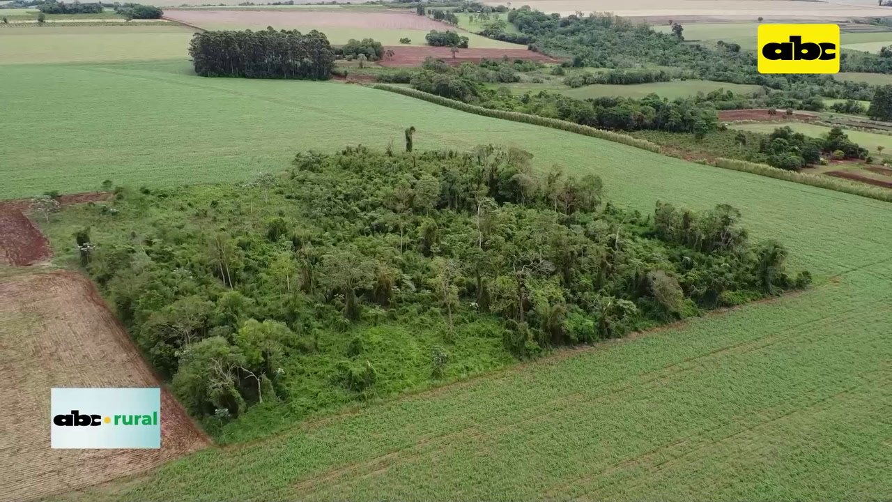 Video: cómo lograr que un suelo de cultivo sea...