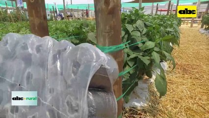 Video: una historia de trabajo y crecimiento junto a los productores