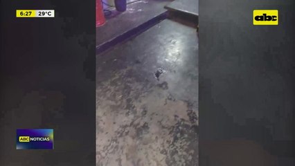 Video: Hombre detenido por disparos de arma de fuego