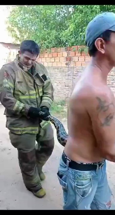 Rescate De Kuriju