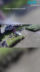 Police took almost hour to respond to fatal beating of disabled woman