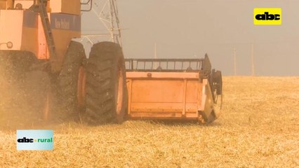 Video: cosecha con agricultura de precisión y resultados del uso de esta tecnología
