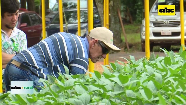 Video: nuevos paquetes tecnológicos en semillas de Nidera