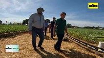Video: V Encuentro Agro de Matrisoja, mostró nuevas tecnologías a productores