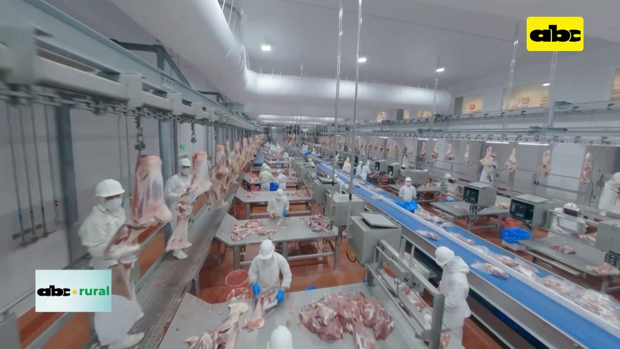 Video: Arabia se alista para probar la carne paraguaya