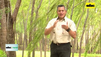 Video: suelos alfisoles y fertilización en cultivos forestales