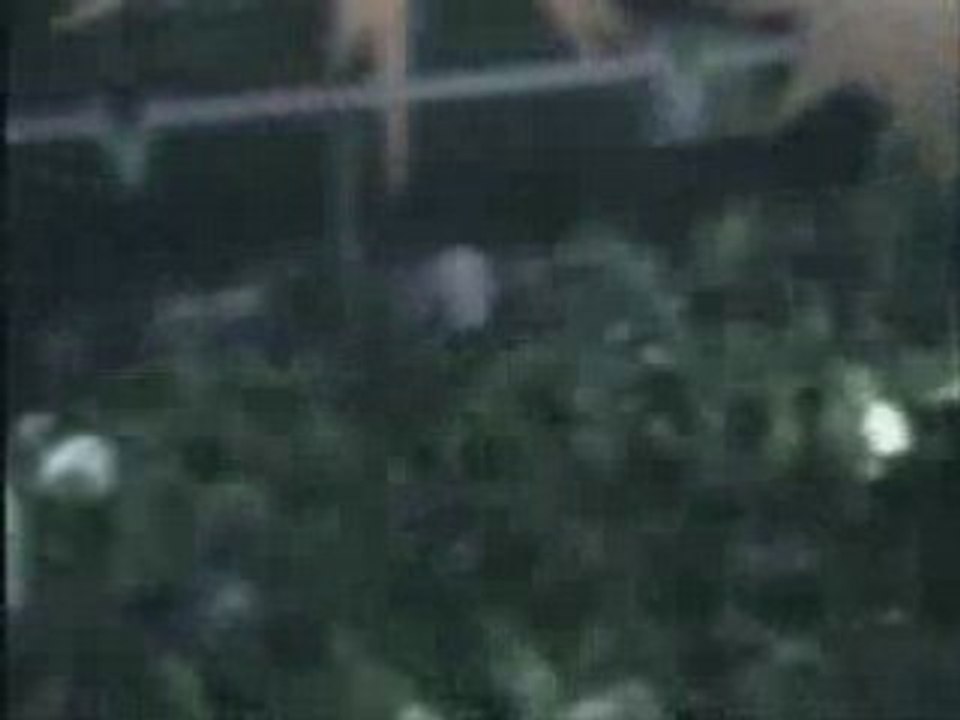 Ben sims@play.electrogaia15.08.05