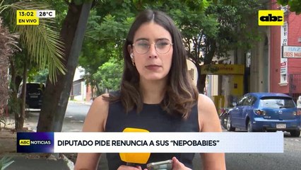 Video: diputado pide renuncia a sus ‘’nepobabies’'