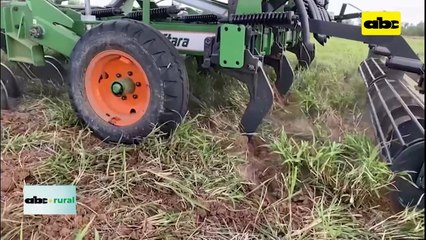 Video: intención de siembra de soja en el Chaco 2023/2024, va a 170 mil hectáreas