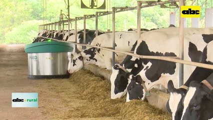 Video: importancia de que el productor lechero también sea agricultor