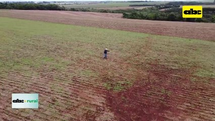 Video: porque hay productores que no apuestan a la siembra directa
