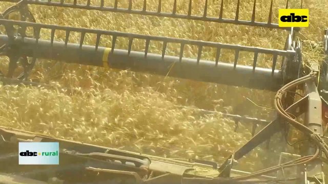 Video: Agricultura de precisión, por donde pueden empezar los pequeños productores