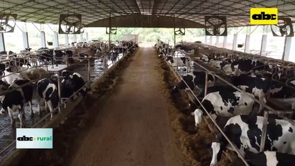Video: Tecnología de precisión para control de vacas lecheras