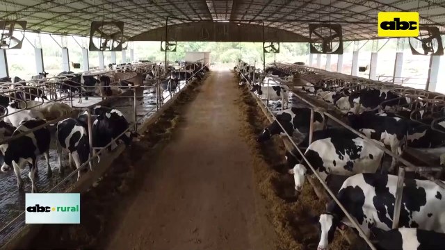 Video: Tecnología de precisión para control de vacas lecheras