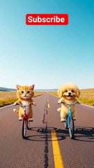 _cat and dog arrested _ #funnycats #cat #funny #dog #shorts