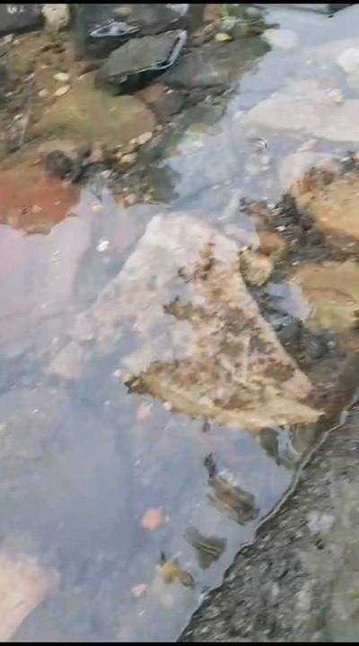 Agua Limpia Desperdicada
