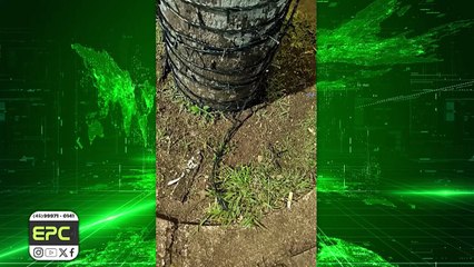 Decoração de Natal de Cascavel sofre vandalismo em vários pontos da cidade