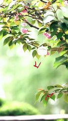 I Run Eternity, All Bow to Me #Dramabox