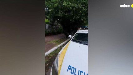 Discusión entre ciudadanos y PMT por pintura de Parxin