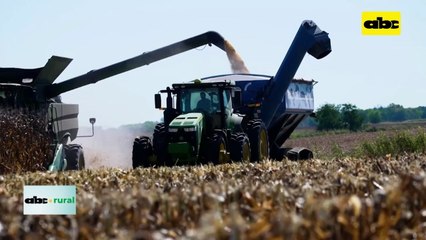 Video: récord mundial en cosecha de granos de maíz