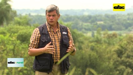 Video: microorganismos eficaces se destacan en producción porcina