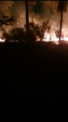 Municipalidad de Areguá ignora denuncias de delitos ambientales