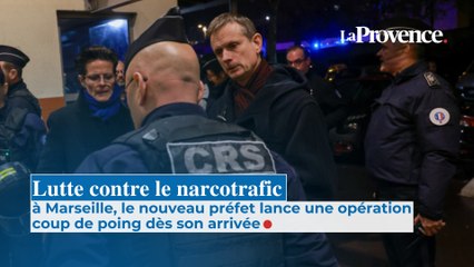 Lutte contre le narcotrafic : le nouveau préfet lance une opération coup de poing dès son arrivée