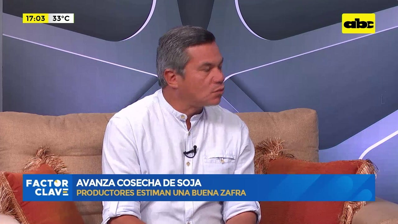 Video: avanza cosecha de soja
