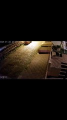 Así Robaron La Moto A Una Mujer En ÑEmby