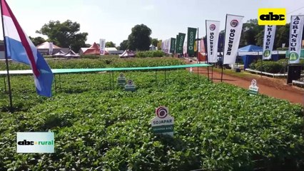 Video: Inbio preparar variedades de soja para ir lanzando