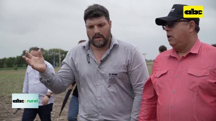 Video: visión sobre el uso y producción de Biológicos