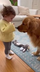 The child warns the dog in a cute and hilarious way 😂❤️. Innocent and joyful moments that bring happiness to the heart! 🐶👶 #dog #baby #ai