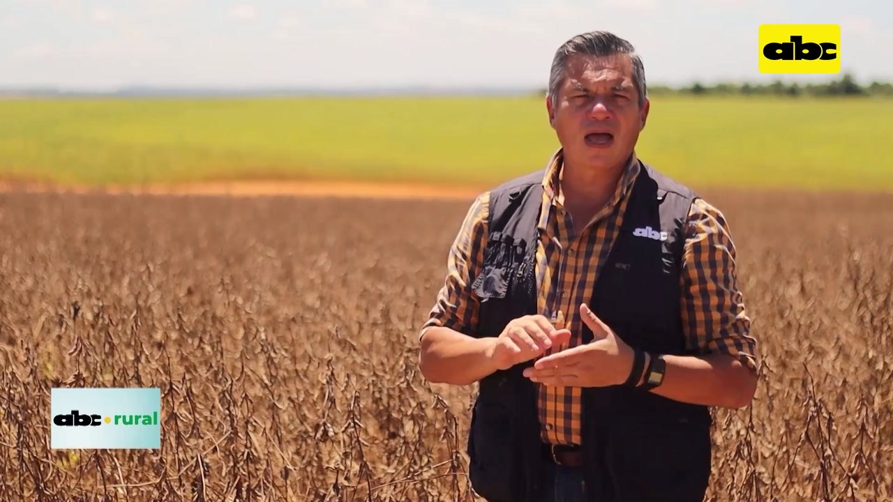 Video: años de trabajo y mejoramiento de Texel que se puede ver y aprovechar