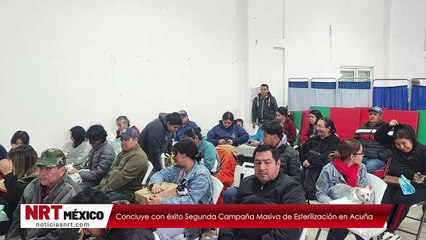 Concluye con éxito segunda campaña masiva de esterilización en Acuña