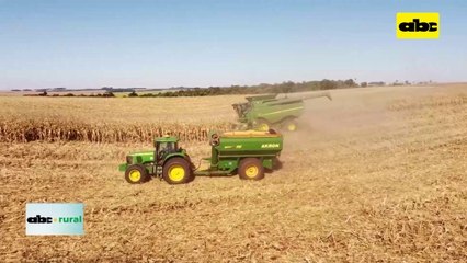 Video: Campo Agro y su apuesta a la tecnología