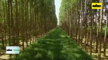 Video: integraciones agropecuarias no tradicionales