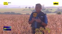 Video:  Cosecha de soja alcanza su mayor ritmo