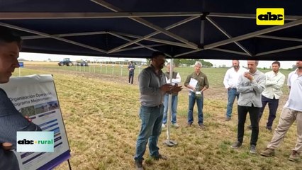 Video: inversiones y próximos lanzamientos de productos y semillas