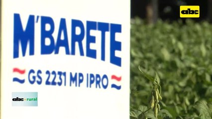 Video: Great Seed presente en jornada de soja de Copronar