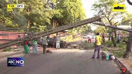 Video: Árbol caído genera bloqueo en avenida