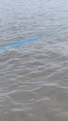 Caño En Lago Ypacaraí