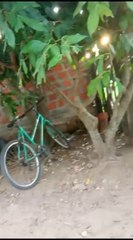 Mujer fue brutalmente agredida por un vecino en Capiatá